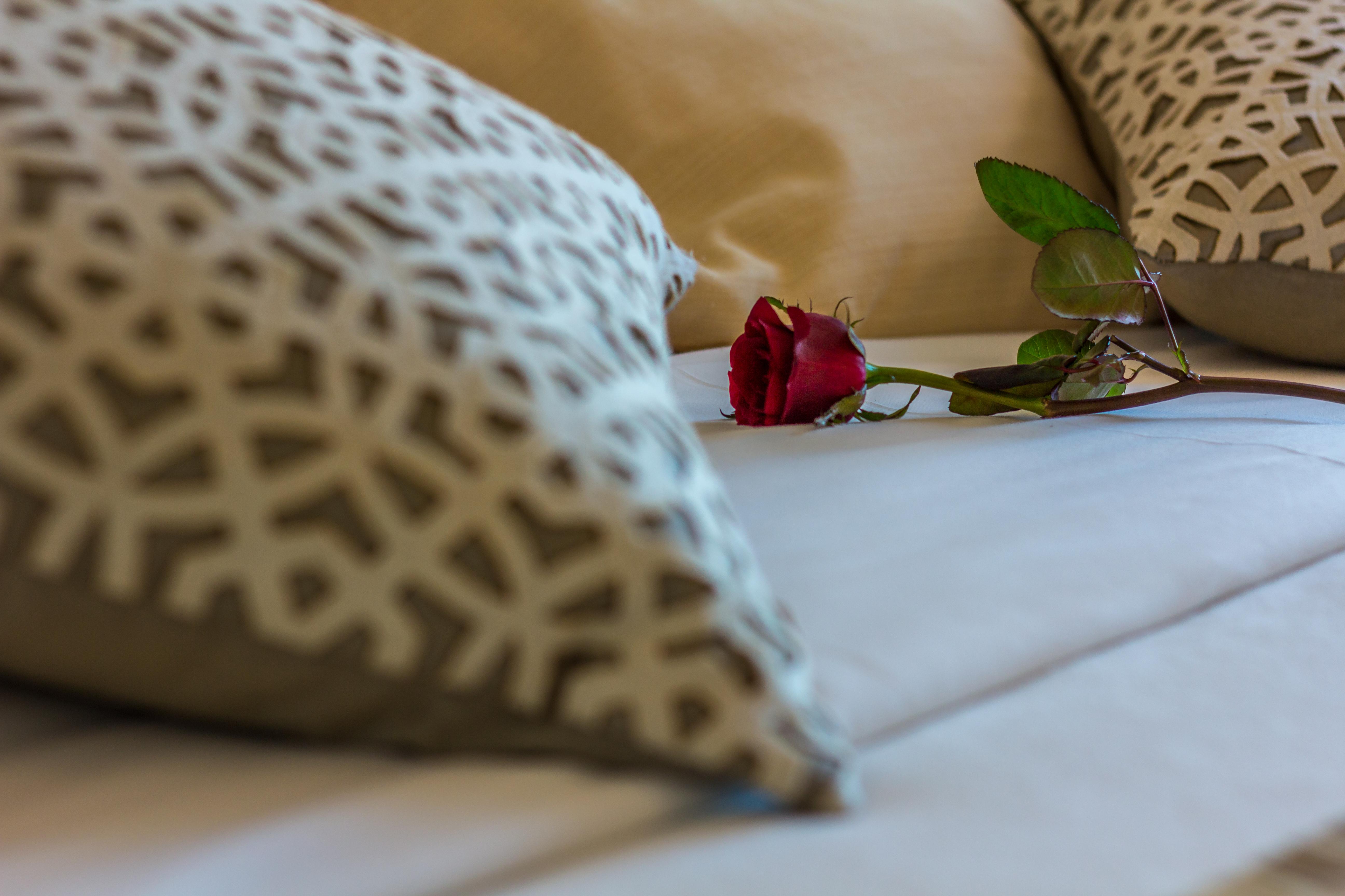 Hotel Sao Sebastiao De Boliqueime Ngoại thất bức ảnh