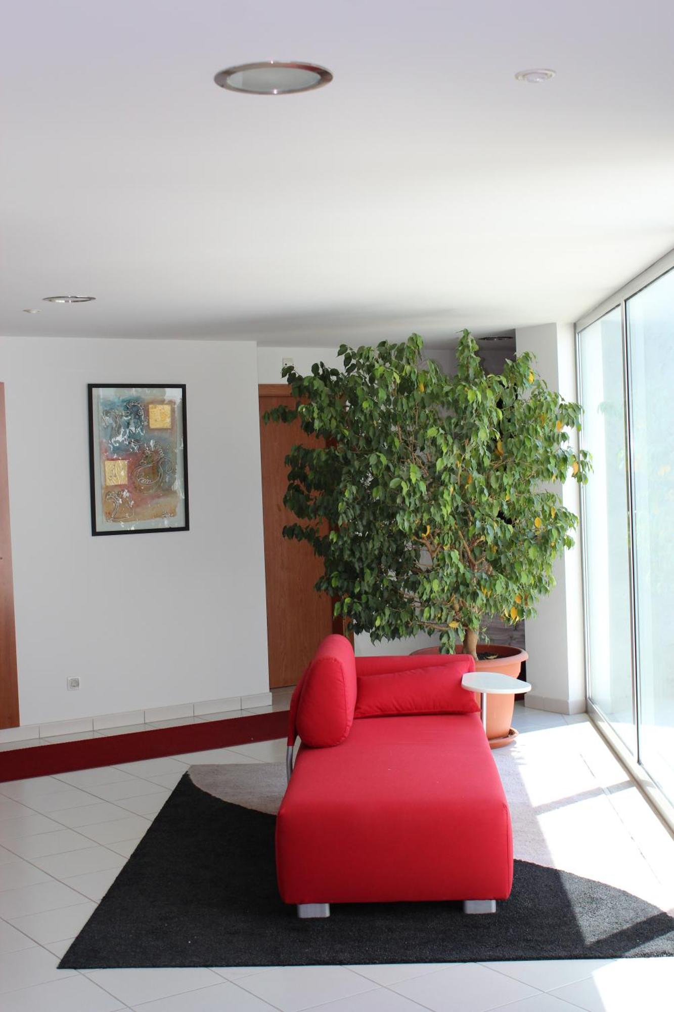 Hotel Sao Sebastiao De Boliqueime Ngoại thất bức ảnh